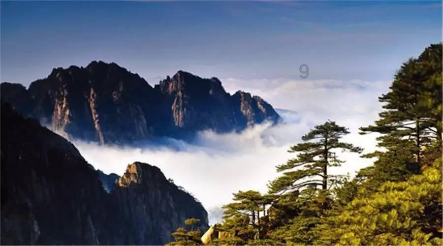 事故无情人有情 峡江交警及时救治伤员赢好评