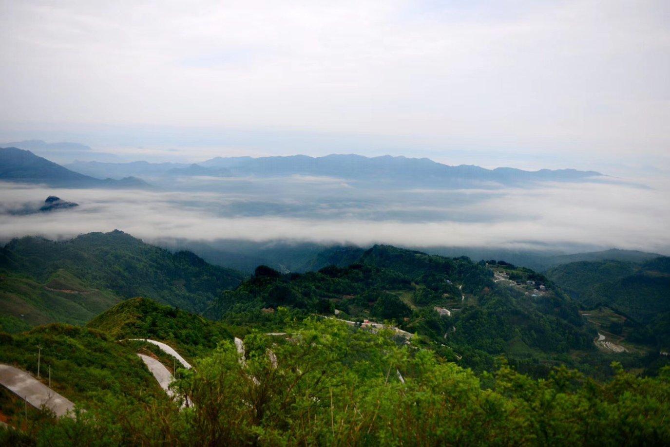 探索奇妙世界,尽在药剂师就业前景怎么样? - 冷知识分享平台