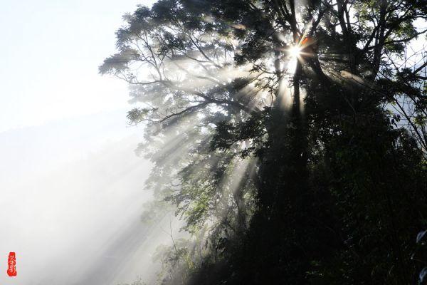 幻想纹章3.5