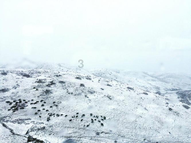 雪中之乐