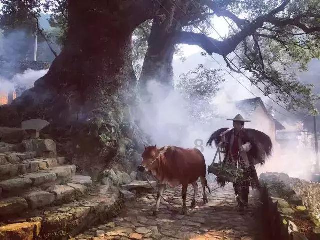环世界