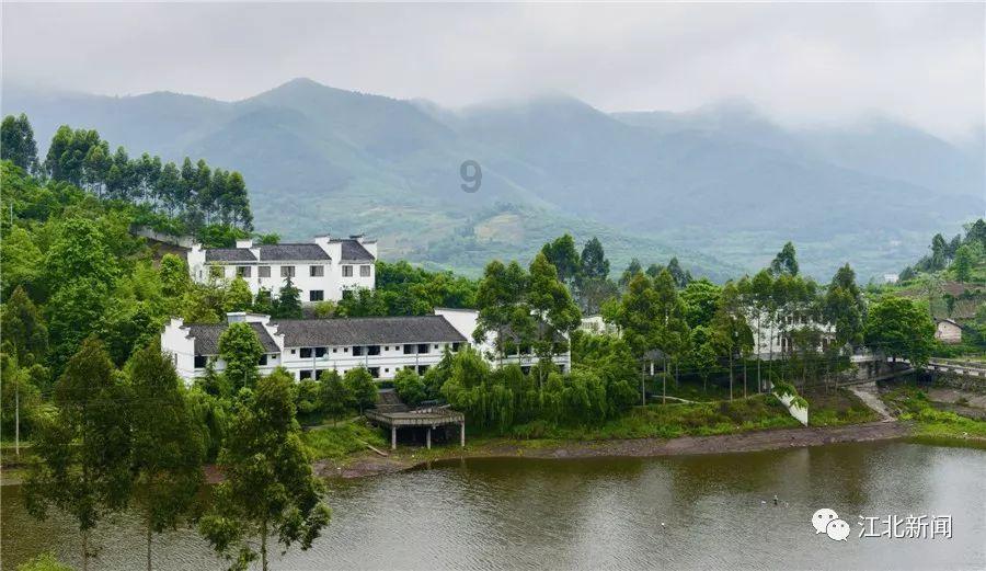 两极反转！LPL春季赛Bin二擒369，Missing聊天记录解释选赛恩真因