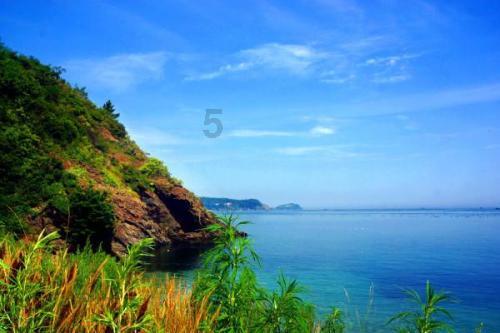 虫虫助手下载