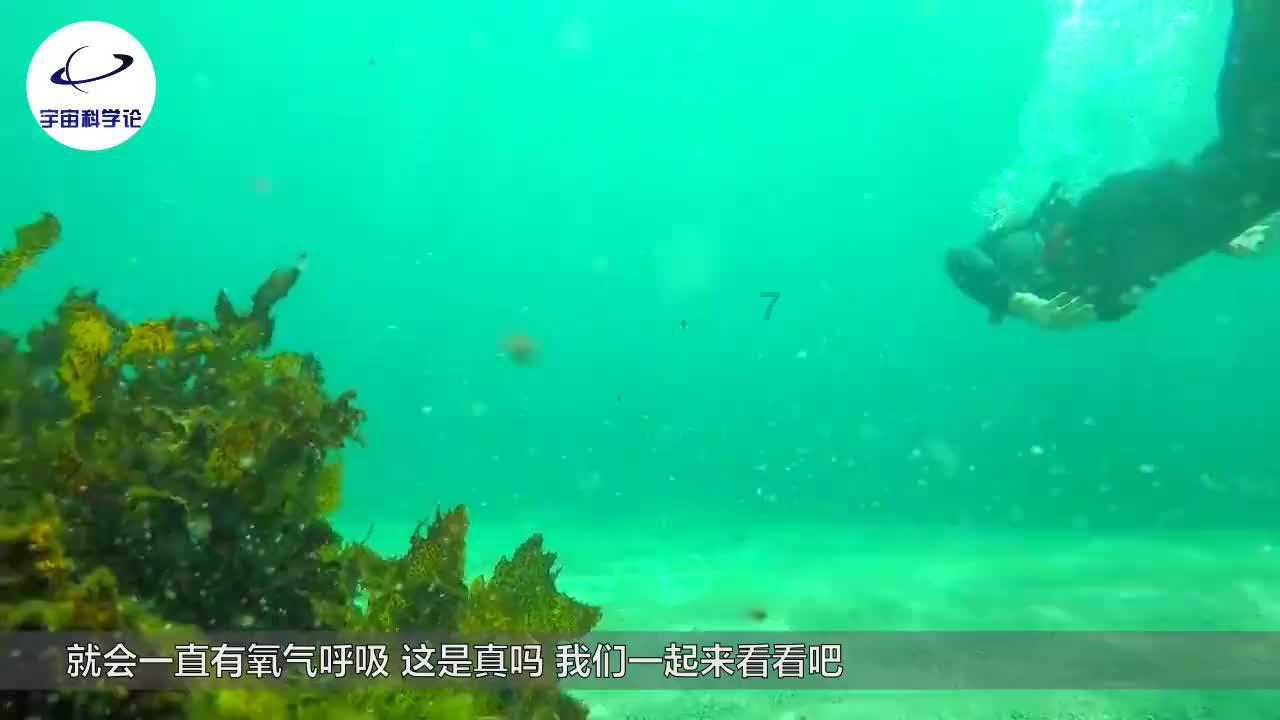救援年轻女歌手