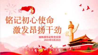 情侣身高差多少最好？游戏画面
