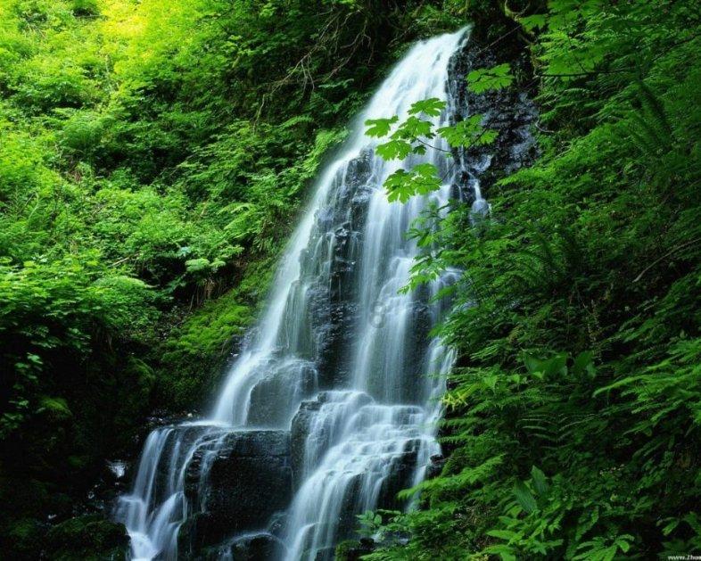 厉害了我的巧虎6