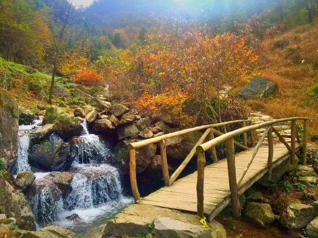 名流设计