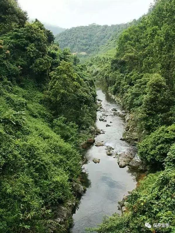 小型的足球赛