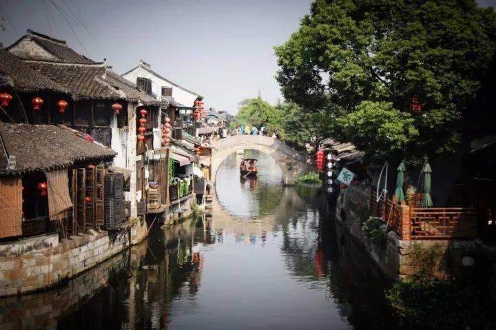 海南一宠物店回应“员工被指虐狗”：