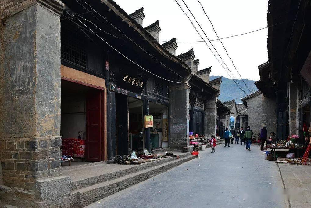 逃出猫头鹰岛