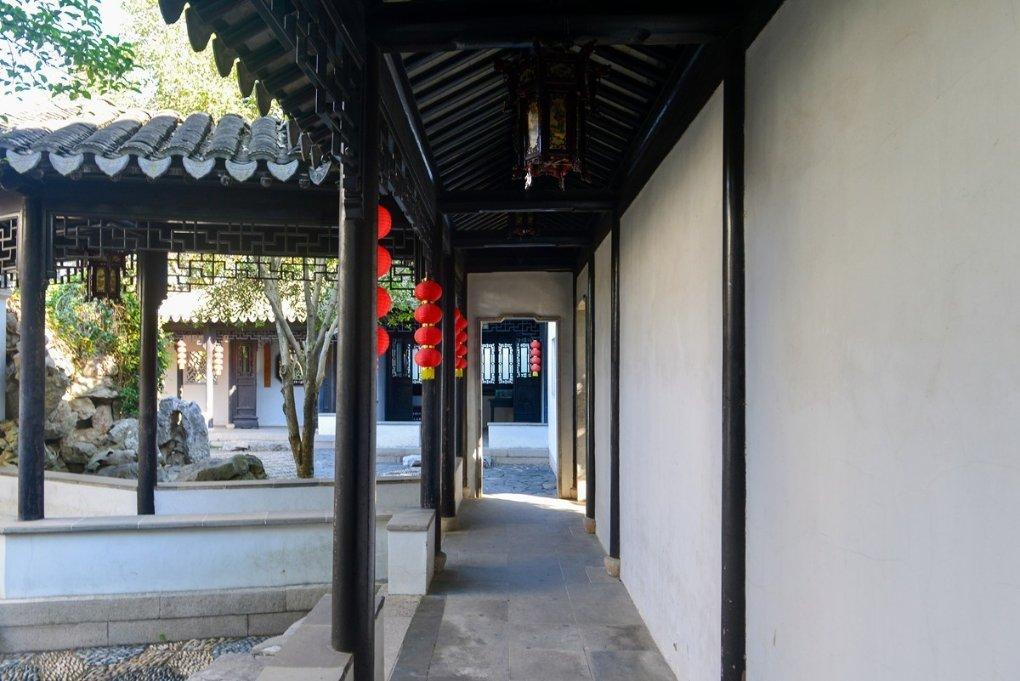 僵尸辨色球