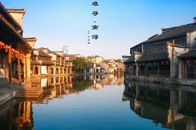 寻找奈良树花